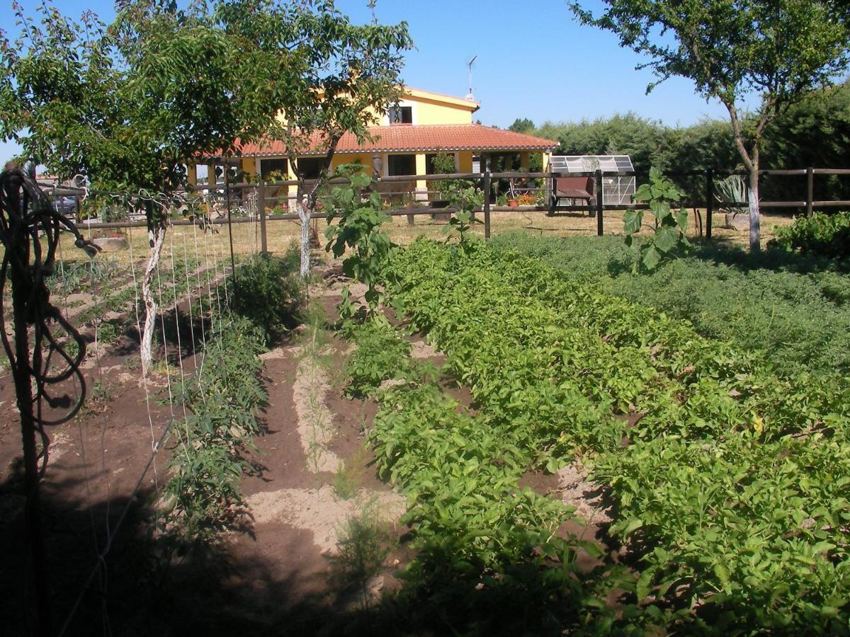 La Posada Hipica Rosalejo  Exterior photo